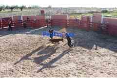 Finca para capeas y picadero de caballos