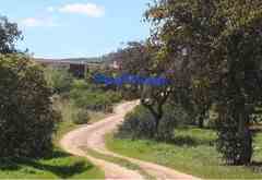 Rural retreat in Extremadura (Spain) including 10 hectares of land with 2 large houses for sale