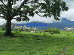 ESPECTACULAR HACIENDA EN CAÑAS GUANACASTE