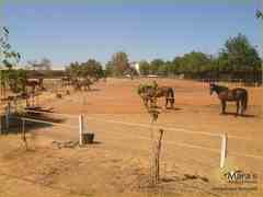 Hotel y Propiedad Ecuestre en Carmona