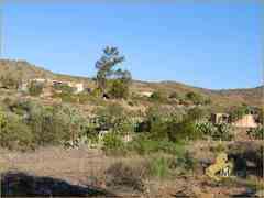 Propiedad Ecuestre y Finca-Hotel en Tabernas