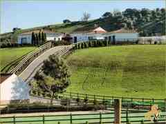 Propiedad Ecuestre, Finca-Villa en Vejer de La Frontera