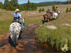 Fincas Ecuestre en Cody Wyoming