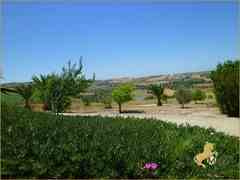 Propiedad Ecuestre, Finca-Hotel en Arcos de La Frontera