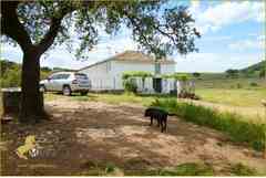 Propiedad Ecuestre y Finca en Aracena